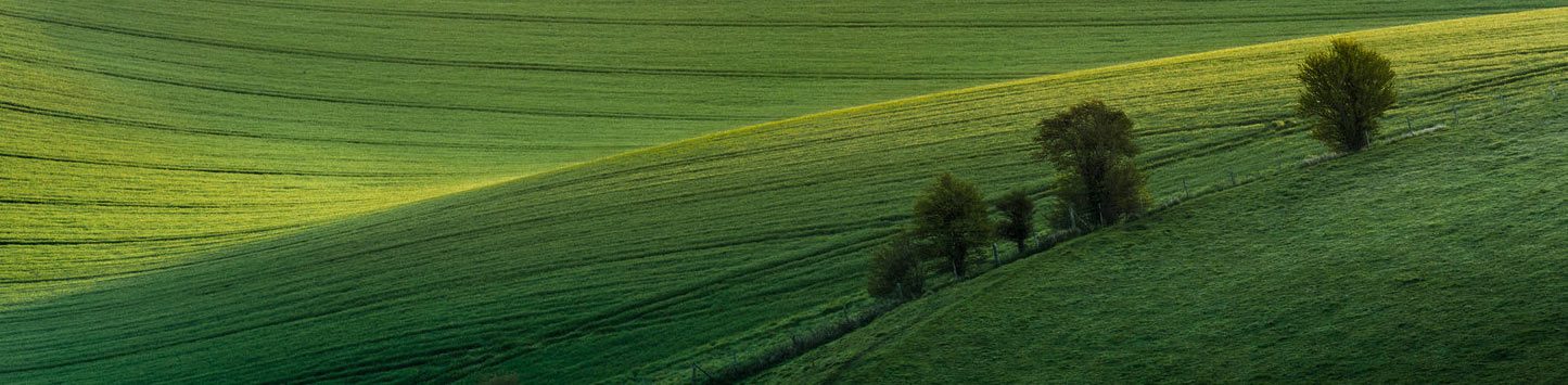 green field