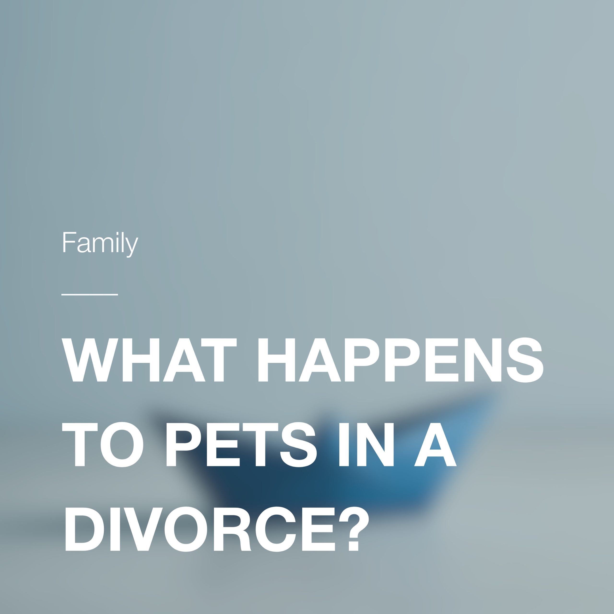 What happens to pets in a divorce?